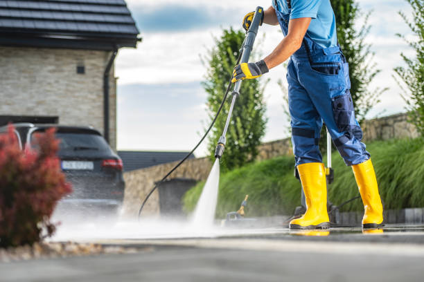 Best Sidewalk and Walkway Cleaning  in Lesslie, SC